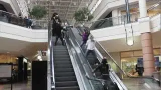 Baauer Harlem Shake in the Mall