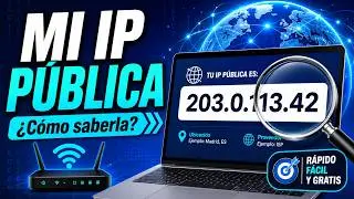 How to find my public IP address?