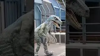 ANGRY BLUE!!! RAPTOR ENCOUNTER: UNIVERSAL STUDIOS HOLLYWOOD || Big Brother Journey