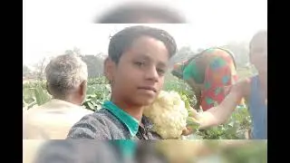 MV Master #viral #trending #prince #manimeraj #khesari lal #pawansingh