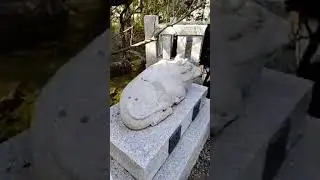 【生配信】沼津・日枝神社へ初詣