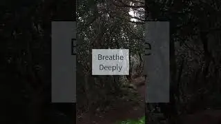 Deep Calm and Emotional Balance