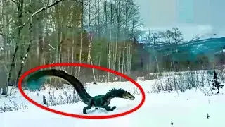 Real Dinosaur Sightings That Have Scientists Baffled