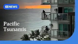 Transpacific tsunami warnings after earthquake near Russia&nbsp;| ABC NEWS