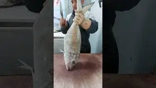 Fish Giant Trevally | fish cutting skills #viral #shorts #cuttingfish