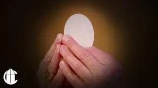 Католическая месса сегодня: 30.12.25 | Шестой день Рождественской октавы
