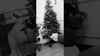 How to baby proof your christmas tree🙄#christmas2022countdown
