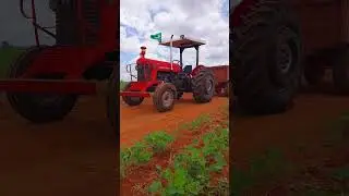 Massey Ferguson 65X ano 1972 🚜