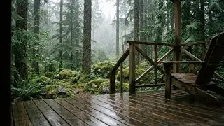 Feel the Peace | Rain Sounds for Deep Sleep | Wooden Cabin Porch in Rainy Forest 🌧️💤