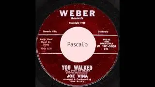 Joe Vina - You walked