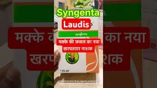 Travirto Herbicide Syngenta|#travirto#herbicide#syngenta#viral#farming#shorts#short#ytshorts#reels🌱🌽
