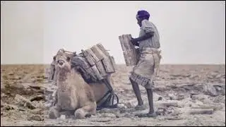 #ethiopia #afar #danakildepression #qafar #volcano #salt #viralvideo #documentary #history 