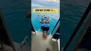 Epic fail - Dive goes terribly wrong 🤿🐠 😂 🙈 #epic #epicfails #snorkeling #sealife #adventure