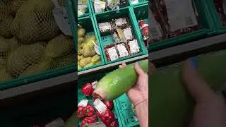 ЗАПАХ НЕ ДЛЯ СЛАБАКОВ АЛОЕ ВЕРА ALOE VERA SHOP #shorts #aloevera #cactus #алоевера #кактус #запах