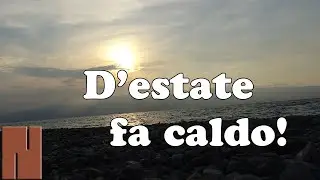 d'Estate fa Caldo! (Canzone Dance Eco-ansiosa by Noreg) Original Song