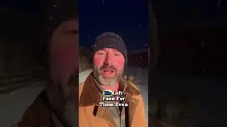 This Starving Wolf Pack Saved a Man&rsquo;s Life ❤️