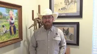Bull handling tips