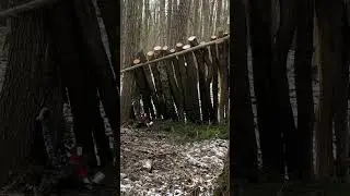 Alone forest camping #music #rain #snow #camping #forest