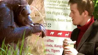 Sylas Brown At The Zoo
