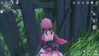 Wuthering Waves Pecok Flower Farming Route