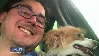 Dog Rescue Organizations