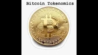 Bitcoin Tokenomics