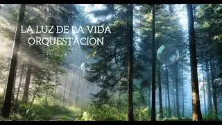 LLDM LA LUZ DE LA VIDA ORQUESTACION