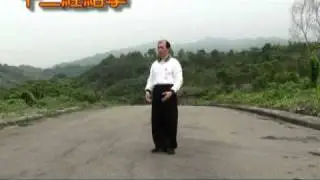形意氣功 - 免費教學!!!《十二經絡拳》