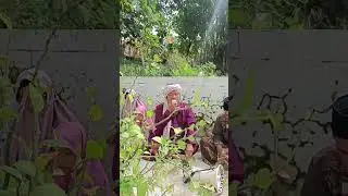 Kyai Shidqi Bujuk Karongkong Gelugur Batuan