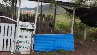 11 de enero de 2026