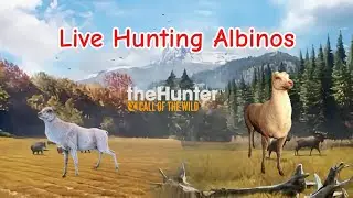 Hunting Albinos and Piebald Animals LIVE The Hunter Call of The Wild Part 4