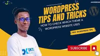 How to check which theme a WordPress website uses