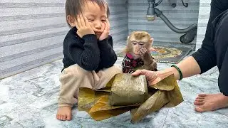 Monkey Kaka and Diem are impatient while waiting for mom to peel the cake