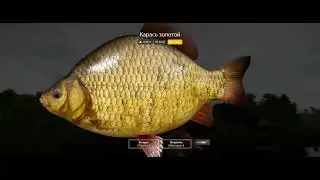 Russian Fishing 4 2026 01 22   19 26 41 03