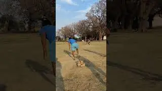 14/100 Vid Challenge to get 5ksubs ll Beat with outside yorker #cricket #bowling #towncricket