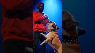 le chin chante #drill #rap