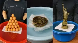 How many tissues does it take to make everything float on water? 😱 The unbelievable happens!
