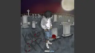Swiper No Swiping (feat. biggsbish)