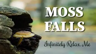 Infinitely Relax Me | Moss Falls | Relaxation | Waterfalls