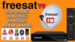 Don't miss out: Freesat TV Sri Lanka introduces fresh update to FM radio 2024|freesat tv|freesat