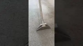 Satisfying Carpet Cleaning Transformation | Deep Stain Removal Before & After