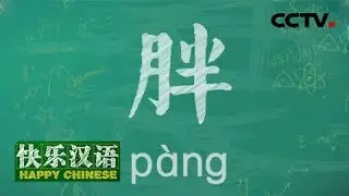 《快乐汉语》今日主题：胖 20190324 | CCTV中文国际