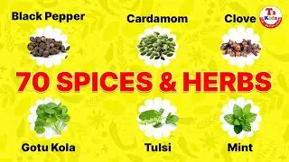 70 Spices & Herbs Every Kid Should Know 🌶️🌿 | Fun Learning for Kids | Spices & Herbs Vocabulary
