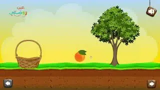 نشاط - تصنيف النباتات