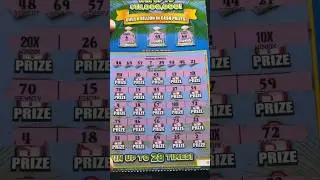 Tons Of Multipliers! 100X! #scratchoff #scratchoffs #scratchers #lottery #floridalottery