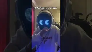 Gamers with Cats Be Like&hellip; 😂 #comedy #funny #viral