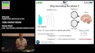 Pascal Picart - Coherent Imaging - Opus 2016