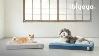 Provide Relief to Your Dog’s Aching Joints | FB2292 Deep Sleep Orthopaedic Dog Bed | IBIYAYA