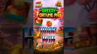 🐷 Huge Win: $51K in Greedy Fortune Pig! | $250 Bet | #Shorts #HugeWin
