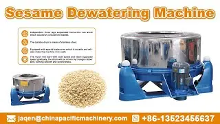 Sesame Seed Washing Machine|Sesame Seed Cleaning Machine|Small Sesame Dewatering Machine